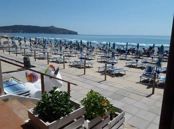 Dog beach sapri