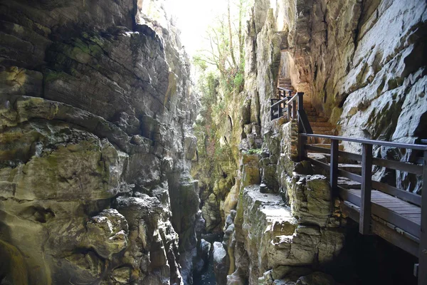 Oasi WWF Grotte del Bussento risorgenza carsica Morigerati