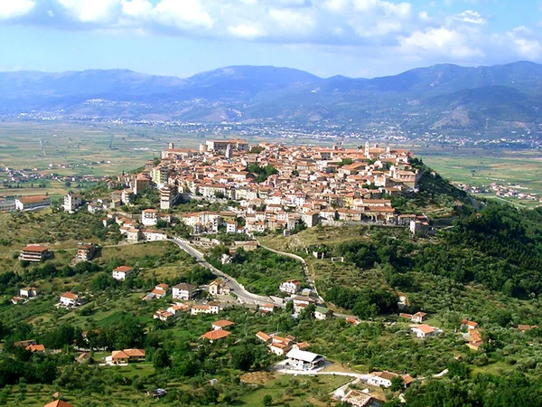 taggioano cilento