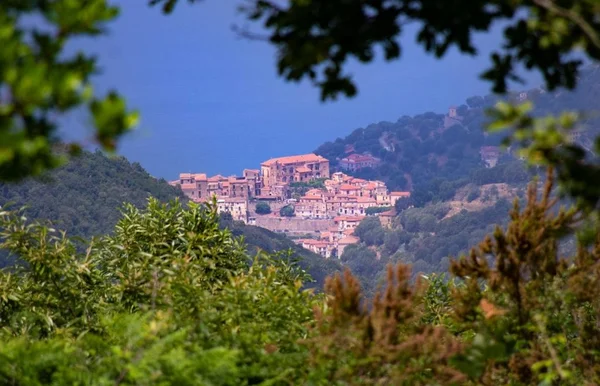 pisciotta