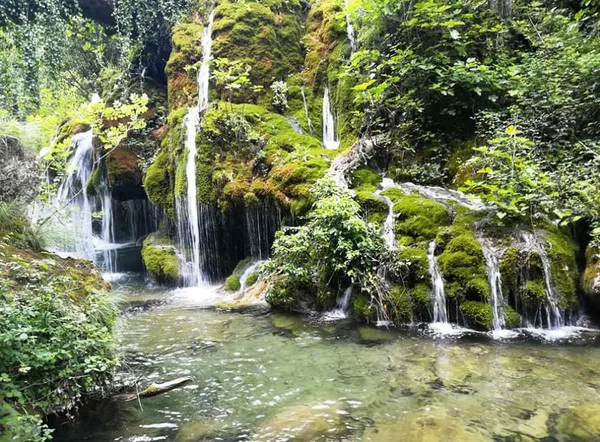 cascate capelli di venere