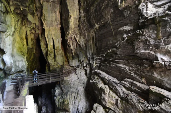Oasi WWF Grotte del Bussento