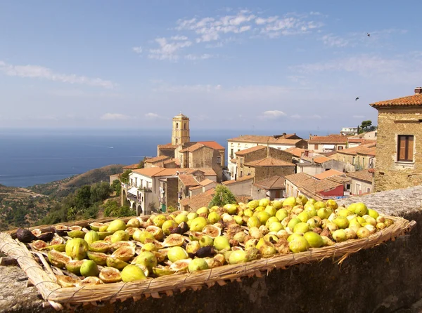 fico bianco del cilento