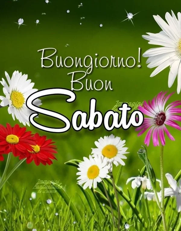 Immagini Buongiorno Sabato 16 agosto 2025 - Proverbio Cilentano #1