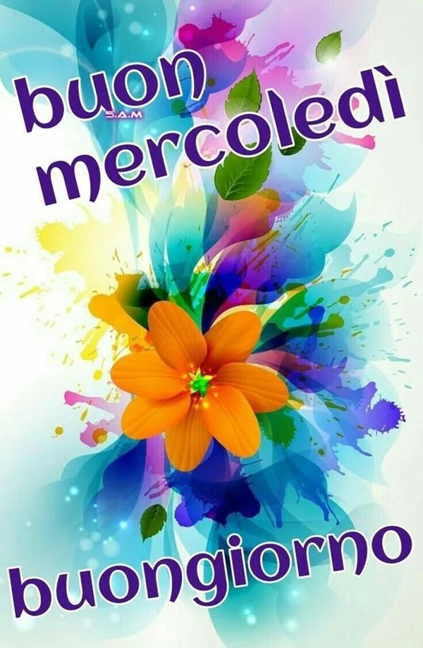 Immagini Buongiorno Lunedì 25 agosto 2025 - Proverbio Cilentano #1