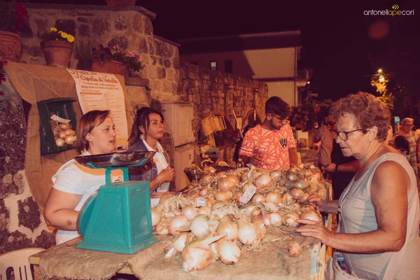 festa della cipolla vatolla